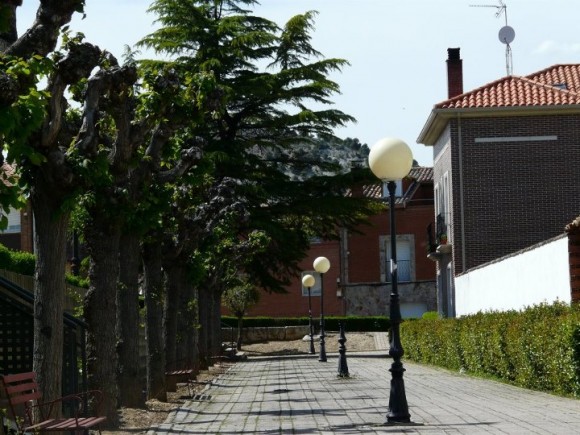 jardin